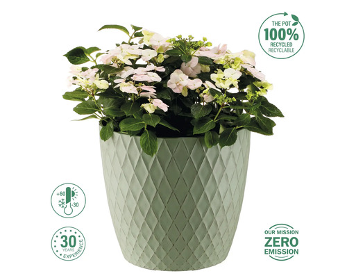 Hortensie im Topf mit Rautenmuster und recycelten Materialien. Temperaturbereich von -30 bis +60 Grad. Das Unternehmen hat 30 Jahre Erfahrung und verfolgt eine Nullemissionsstrategie.