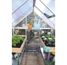 Vue intérieure d'une serre avec des plantes et des outils de jardinage