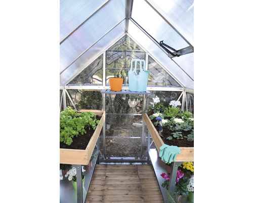 Vue intérieure d'une serre avec des plantes et des outils de jardinage