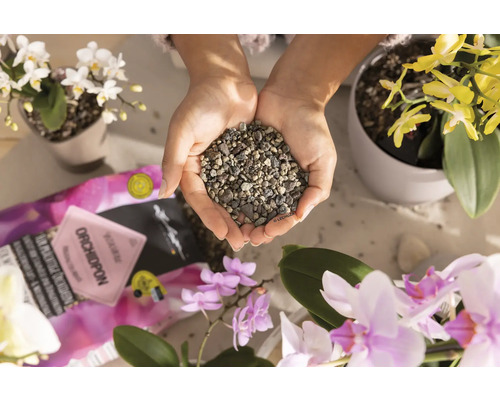 Eine Person hält Orchideensubstrat in den Händen, umgeben von Orchideen. Die Szene zeigt die Verwendung von speziellem Substrat für Orchideenpflege.