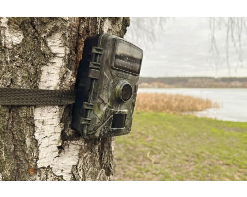 Wildkamera mit Tarnmuster am Baum befestigt