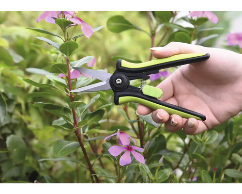 Sécateur dans une main devant des plantes