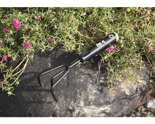 Griffe de jardin sur une pierre entre des plantes