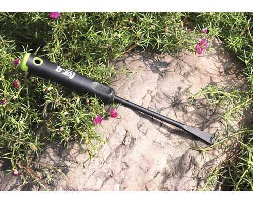 Désherbeur For_q sur une pierre avec des plantes