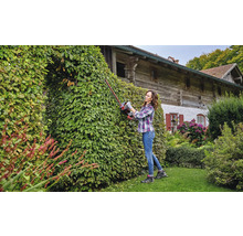 Femme taillant une haie avec un taille-haie dans le jardin.