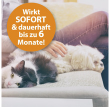 Chat et chien sont allongés et détendus sur un canapé. Agit immédiatement et durablement jusqu''à six mois.