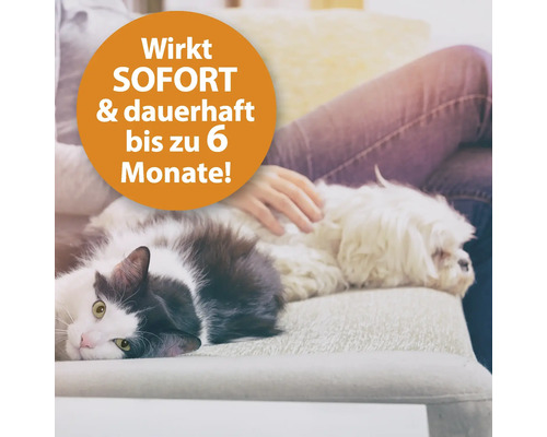 Katze und Hund entspannen auf dem Sofa, Wirkt sofort und dauerhaft bis zu 6 Monate.