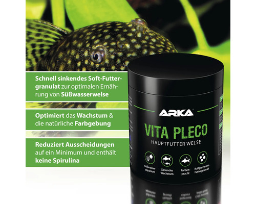 Boîte d''aliments principaux pour silures Arka Vita Pleco avec silure en arrière-plan