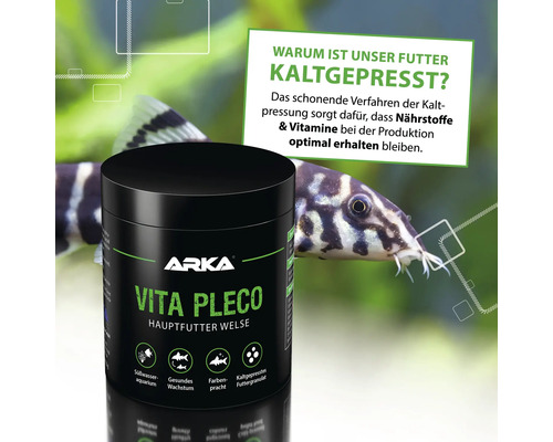 Boîte d''aliment principal pour silures Arka Vita Pleco devant un aquarium avec des silures