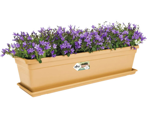 Blumenkasten mit lila Glockenblumen