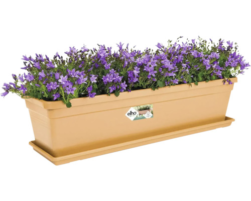 Rechteckiger Pflanzkasten aus Kunststoff mit lila Glockenblumen