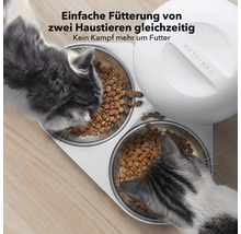 Zwei Katzen fressen aus einem Futterautomaten mit zwei Futternäpfen.