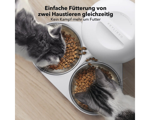 Zwei Katzen fressen aus einem Futterautomaten mit zwei Futternäpfen.