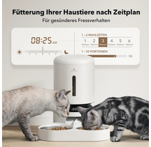 Automatischer Futterautomat mit zwei Katzen beim Fressen