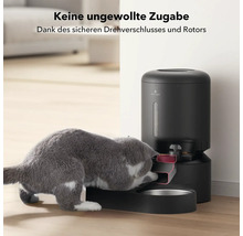 Katze frisst aus einem Futterautomaten
