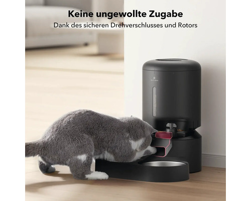 Katze frisst aus einem Futterautomaten