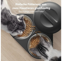 Zwei Katzen fressen gleichzeitig aus einem automatischen Futterautomaten mit zwei Näpfen von Petlibro.