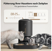Automatischer Futterautomat für Haustiere mit zwei Katzen beim Fressen
