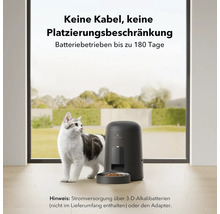 Katze neben einem automatischen Futterautomaten für Haustiere von Petlibro