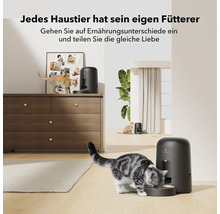 Mehrere Katzen fressen aus dem Petlibro Futterautomaten in einem hellen Raum.