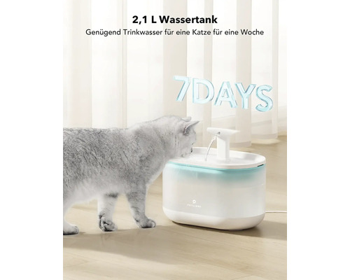 Katze trinkt aus einem 2,1 Liter Trinkbrunnen für Haustiere