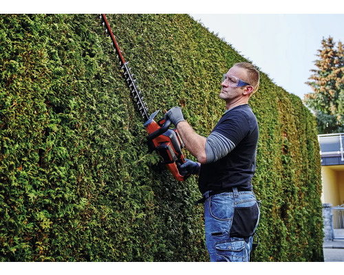 Ein Mann schneidet eine Hecke mit einer Heckenschere und trägt dabei eine Schutzbrille.