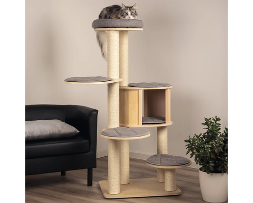 Chat sur un arbre à chat à plusieurs niveaux avec des poteaux en sisal, des plates-formes et une niche