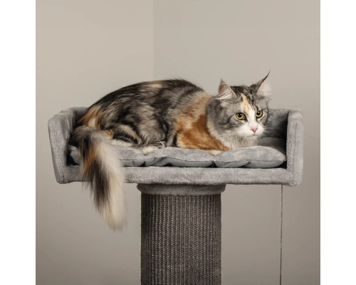 Katze liegt auf einem grauen Katzenbaum mit Kratzsäule