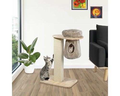 Chat grattant un arbre à chat avec surface de couchage et grotte