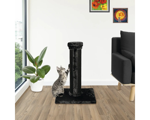 Chat grattant un griffoir noir dans le salon.