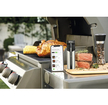Scène avec barbecue, poulet, épi de maïs, viande, moulin à épices, smartphone et logo Ninja.