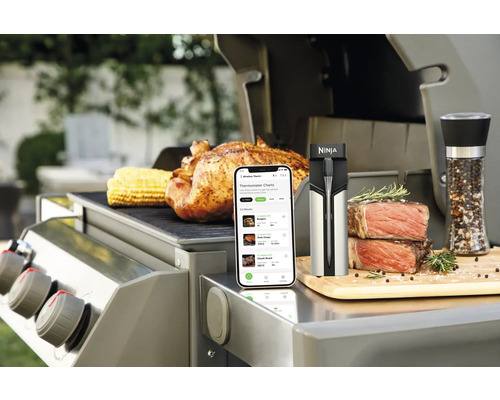 Szene mit Grill, Hähnchen, Maiskolben, Fleisch, Gewürzmühle, Smartphone und Ninja Logo.