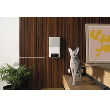 Scène avec distributeur automatique de nourriture pour animaux de compagnie, plante en pot et un chat au premier plan