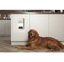 Chien allongé devant un distributeur automatique de nourriture dans une cuisine.