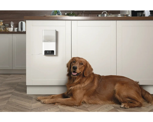 Chien allongé devant un distributeur automatique de nourriture dans une cuisine.