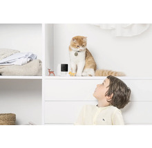 Intérieur avec caméra de surveillance, chat et enfant
