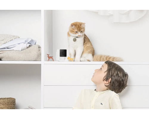 Intérieur avec caméra de surveillance, chat et enfant
