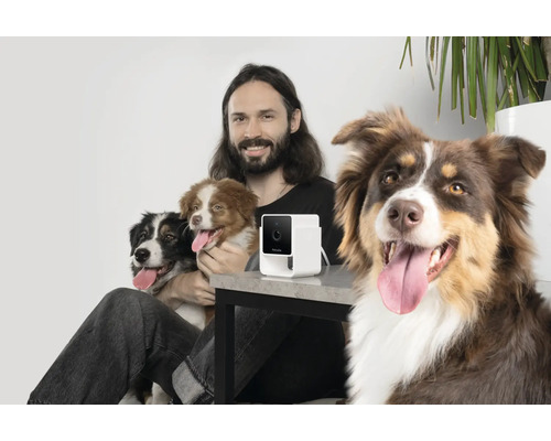 Un homme est assis à une table avec trois chiens et une caméra pour animaux de compagnie