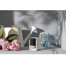 Caméra de sécurité Petcube avec arrosoir et bouteilles sur une étagère