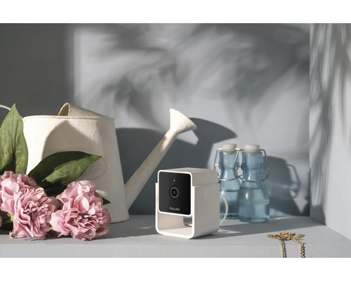 Caméra de sécurité Petcube avec arrosoir et bouteilles sur une étagère