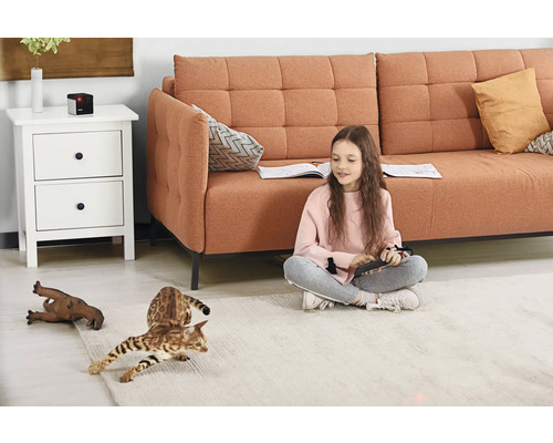 Scène de salon avec fille, canapé, table de chevet et chat joueur