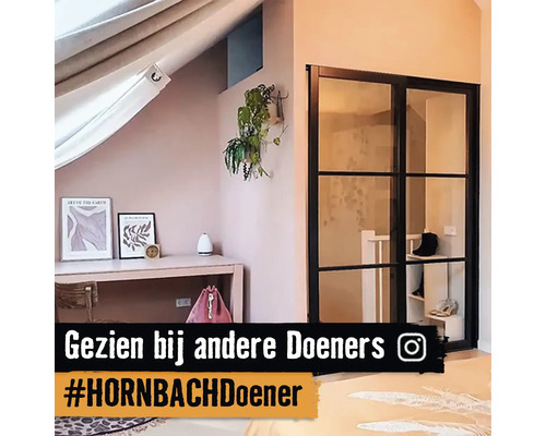 Chambre mansardée avec bureau, décoration, plante d''intérieur et porte vitrée à cadre noir