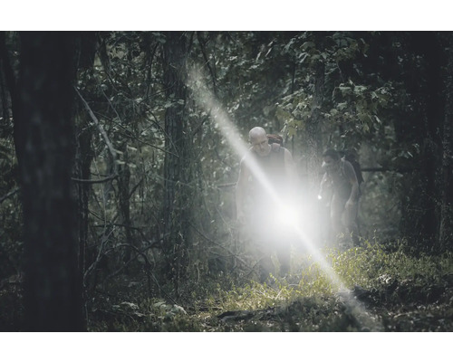 Zwei Personen wandern mit Stirnlampen durch einen Wald.