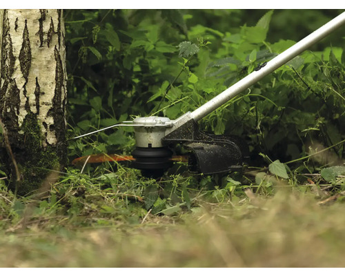 Rasentrimmer in Verwendung nahe eines Baumes im Garten.