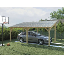 Carport mit transparentem Dach und Auto darunter, Basketballkorb im Garten