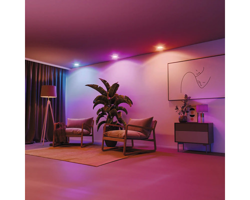 Salon avec deux chaises, lampadaire, plante d''intérieur et plafonniers