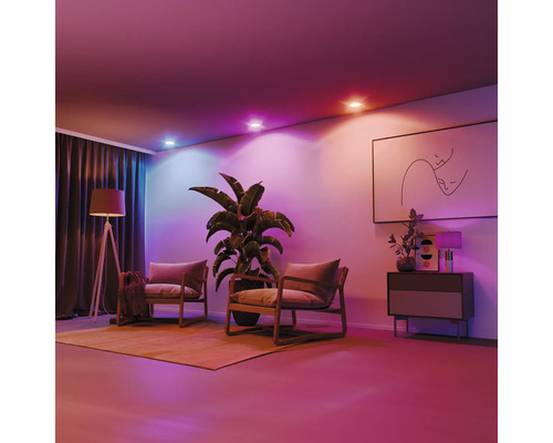 Salon avec deux fauteuils, plante d''intérieur, lampadaire, plafonniers et œuvre d''art