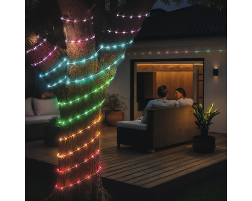 Arbre avec guirlande lumineuse multicolore à l''extérieur