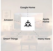 Kompatibilität mit Google Home, Amazon, Apple Home und Smart Things