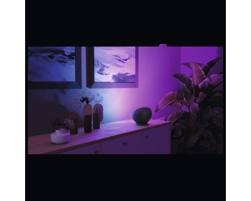 Salon avec commode, décoration et plante d''intérieur sous éclairage coloré